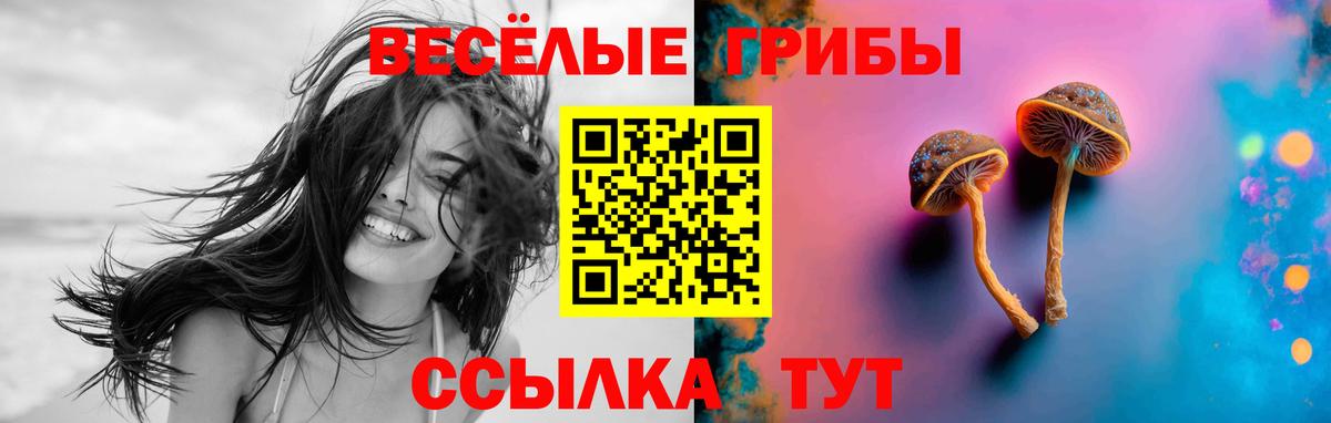 Псилоцибиновые грибы Psilocybe Учалы